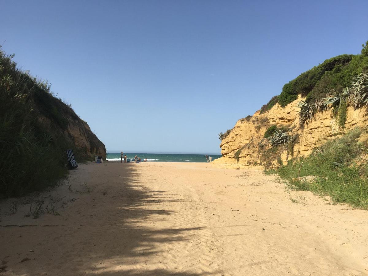 Villa Anyway Conil Un Lujo Frente Al Mar โกนิล เด ลาฟรอนเตรา ภายนอก รูปภาพ