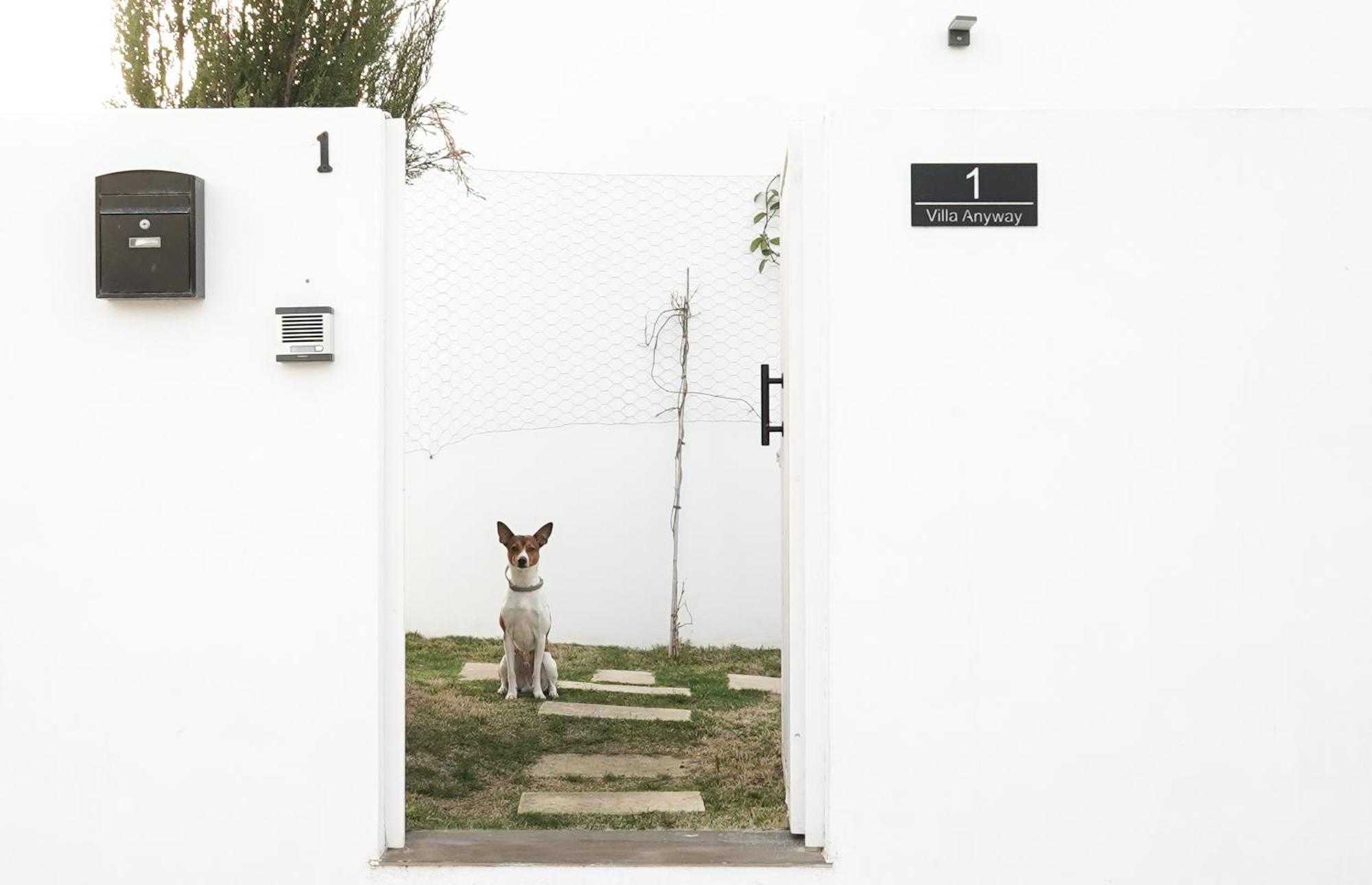 Villa Anyway Conil Un Lujo Frente Al Mar โกนิล เด ลาฟรอนเตรา ภายนอก รูปภาพ